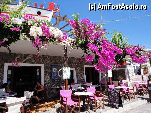 [P02] Hook Bar... si Bougainvillea ce ne taia rasuflarea. Aici am mancat o salata de fructe cu inghetata asortata de mare exceptie!  » foto by Corina03
 - 
<span class="allrVoted glyphicon glyphicon-heart hidden" id="av382737"></span>
<a class="m-l-10 hidden" id="sv382737" onclick="voting_Foto_DelVot(,382737,3378)" role="button">șterge vot <span class="glyphicon glyphicon-remove"></span></a>
<a id="v9382737" class=" c-red"  onclick="voting_Foto_SetVot(382737)" role="button"><span class="glyphicon glyphicon-heart-empty"></span> <b>LIKE</b> = Votează poza</a> <img class="hidden"  id="f382737W9" src="/imagini/loader.gif" border="0" /><span class="AjErrMes hidden" id="e382737ErM"></span>