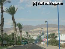 [P32] Eilat » foto by feliciarosca
 - 
<span class="allrVoted glyphicon glyphicon-heart hidden" id="av289051"></span>
<a class="m-l-10 hidden" id="sv289051" onclick="voting_Foto_DelVot(,289051,3380)" role="button">șterge vot <span class="glyphicon glyphicon-remove"></span></a>
<a id="v9289051" class=" c-red"  onclick="voting_Foto_SetVot(289051)" role="button"><span class="glyphicon glyphicon-heart-empty"></span> <b>LIKE</b> = Votează poza</a> <img class="hidden"  id="f289051W9" src="/imagini/loader.gif" border="0" /><span class="AjErrMes hidden" id="e289051ErM"></span>