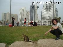 [P19] Israel -  Tel Aviv - Cocalarii la picnic » foto by popescu.borsa*
 - 
<span class="allrVoted glyphicon glyphicon-heart hidden" id="av175105"></span>
<a class="m-l-10 hidden" id="sv175105" onclick="voting_Foto_DelVot(,175105,3380)" role="button">șterge vot <span class="glyphicon glyphicon-remove"></span></a>
<a id="v9175105" class=" c-red"  onclick="voting_Foto_SetVot(175105)" role="button"><span class="glyphicon glyphicon-heart-empty"></span> <b>LIKE</b> = Votează poza</a> <img class="hidden"  id="f175105W9" src="/imagini/loader.gif" border="0" /><span class="AjErrMes hidden" id="e175105ErM"></span>