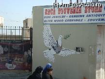 [P20] Israel - Simbolul pacii dintre palestinieni şi israelieni » foto by popescu.borsa*
 - 
<span class="allrVoted glyphicon glyphicon-heart hidden" id="av175106"></span>
<a class="m-l-10 hidden" id="sv175106" onclick="voting_Foto_DelVot(,175106,3380)" role="button">șterge vot <span class="glyphicon glyphicon-remove"></span></a>
<a id="v9175106" class=" c-red"  onclick="voting_Foto_SetVot(175106)" role="button"><span class="glyphicon glyphicon-heart-empty"></span> <b>LIKE</b> = Votează poza</a> <img class="hidden"  id="f175106W9" src="/imagini/loader.gif" border="0" /><span class="AjErrMes hidden" id="e175106ErM"></span>