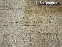 [P15]  Circuit Israel-Iordania /  » foto by StanAnca*
 - 
<span class="allrVoted glyphicon glyphicon-heart hidden" id="av204640"></span>
<a class="m-l-10 hidden" id="sv204640" onclick="voting_Foto_DelVot(,204640,3380)" role="button">șterge vot <span class="glyphicon glyphicon-remove"></span></a>
<a id="v9204640" class=" c-red"  onclick="voting_Foto_SetVot(204640)" role="button"><span class="glyphicon glyphicon-heart-empty"></span> <b>LIKE</b> = Votează poza</a> <img class="hidden"  id="f204640W9" src="/imagini/loader.gif" border="0" /><span class="AjErrMes hidden" id="e204640ErM"></span>