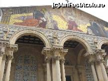 [P33] Biserica Tuturor Natiunilor, Gradina Ghetsimani » foto by ioana2266
 - 
<span class="allrVoted glyphicon glyphicon-heart hidden" id="av192372"></span>
<a class="m-l-10 hidden" id="sv192372" onclick="voting_Foto_DelVot(,192372,3380)" role="button">șterge vot <span class="glyphicon glyphicon-remove"></span></a>
<a id="v9192372" class=" c-red"  onclick="voting_Foto_SetVot(192372)" role="button"><span class="glyphicon glyphicon-heart-empty"></span> <b>LIKE</b> = Votează poza</a> <img class="hidden"  id="f192372W9" src="/imagini/loader.gif" border="0" /><span class="AjErrMes hidden" id="e192372ErM"></span>