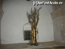 [P20] Sala Cinei cea de Taina deasupra Mormantului lui David » foto by artemisa24
 - 
<span class="allrVoted glyphicon glyphicon-heart hidden" id="av173530"></span>
<a class="m-l-10 hidden" id="sv173530" onclick="voting_Foto_DelVot(,173530,3380)" role="button">șterge vot <span class="glyphicon glyphicon-remove"></span></a>
<a id="v9173530" class=" c-red"  onclick="voting_Foto_SetVot(173530)" role="button"><span class="glyphicon glyphicon-heart-empty"></span> <b>LIKE</b> = Votează poza</a> <img class="hidden"  id="f173530W9" src="/imagini/loader.gif" border="0" /><span class="AjErrMes hidden" id="e173530ErM"></span>