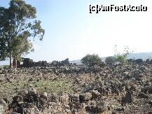 [P05] si am trecut pe langa vatra unei asezari de peste 2000 de ani » foto by a.sr*
 - 
<span class="allrVoted glyphicon glyphicon-heart hidden" id="av255753"></span>
<a class="m-l-10 hidden" id="sv255753" onclick="voting_Foto_DelVot(,255753,3380)" role="button">șterge vot <span class="glyphicon glyphicon-remove"></span></a>
<a id="v9255753" class=" c-red"  onclick="voting_Foto_SetVot(255753)" role="button"><span class="glyphicon glyphicon-heart-empty"></span> <b>LIKE</b> = Votează poza</a> <img class="hidden"  id="f255753W9" src="/imagini/loader.gif" border="0" /><span class="AjErrMes hidden" id="e255753ErM"></span>