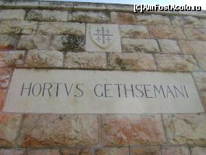 [P12] Ierusalim - Gradina Ghesimani » foto by SKC
 - 
<span class="allrVoted glyphicon glyphicon-heart hidden" id="av504026"></span>
<a class="m-l-10 hidden" id="sv504026" onclick="voting_Foto_DelVot(,504026,3380)" role="button">șterge vot <span class="glyphicon glyphicon-remove"></span></a>
<a id="v9504026" class=" c-red"  onclick="voting_Foto_SetVot(504026)" role="button"><span class="glyphicon glyphicon-heart-empty"></span> <b>LIKE</b> = Votează poza</a> <img class="hidden"  id="f504026W9" src="/imagini/loader.gif" border="0" /><span class="AjErrMes hidden" id="e504026ErM"></span>