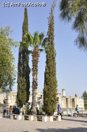 [P05] Capernaum - Casa Sfintilor Petru si Andrei sau Casa lui Isus - Israel » foto by Diaura*
 - 
<span class="allrVoted glyphicon glyphicon-heart hidden" id="av1060186"></span>
<a class="m-l-10 hidden" id="sv1060186" onclick="voting_Foto_DelVot(,1060186,3380)" role="button">șterge vot <span class="glyphicon glyphicon-remove"></span></a>
<a id="v91060186" class=" c-red"  onclick="voting_Foto_SetVot(1060186)" role="button"><span class="glyphicon glyphicon-heart-empty"></span> <b>LIKE</b> = Votează poza</a> <img class="hidden"  id="f1060186W9" src="/imagini/loader.gif" border="0" /><span class="AjErrMes hidden" id="e1060186ErM"></span>