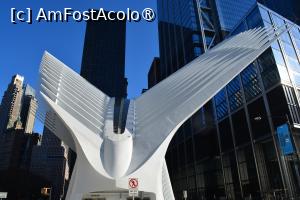 [P15] tot pe la fostele turnuri gemene » foto by icata24
 - 
<span class="allrVoted glyphicon glyphicon-heart hidden" id="av1395830"></span>
<a class="m-l-10 hidden" id="sv1395830" onclick="voting_Foto_DelVot(,1395830,3385)" role="button">șterge vot <span class="glyphicon glyphicon-remove"></span></a>
<a id="v91395830" class=" c-red"  onclick="voting_Foto_SetVot(1395830)" role="button"><span class="glyphicon glyphicon-heart-empty"></span> <b>LIKE</b> = Votează poza</a> <img class="hidden"  id="f1395830W9" src="/imagini/loader.gif" border="0" /><span class="AjErrMes hidden" id="e1395830ErM"></span>