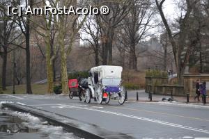 [P14] Trasura in CP, daca am citit bine inscriptia de pe ea,pretul este 50$/20min » foto by AZE
 - 
<span class="allrVoted glyphicon glyphicon-heart hidden" id="av718379"></span>
<a class="m-l-10 hidden" id="sv718379" onclick="voting_Foto_DelVot(,718379,3385)" role="button">șterge vot <span class="glyphicon glyphicon-remove"></span></a>
<a id="v9718379" class=" c-red"  onclick="voting_Foto_SetVot(718379)" role="button"><span class="glyphicon glyphicon-heart-empty"></span> <b>LIKE</b> = Votează poza</a> <img class="hidden"  id="f718379W9" src="/imagini/loader.gif" border="0" /><span class="AjErrMes hidden" id="e718379ErM"></span>