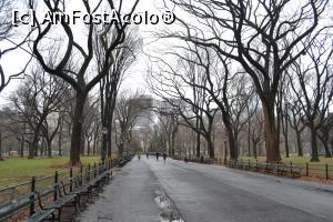 [P16] Aleea numita The Mall (aici s-a filmat o scena din Maid in Manhattan cu Jennifer Lopez)  » foto by AZE
 - 
<span class="allrVoted glyphicon glyphicon-heart hidden" id="av718381"></span>
<a class="m-l-10 hidden" id="sv718381" onclick="voting_Foto_DelVot(,718381,3385)" role="button">șterge vot <span class="glyphicon glyphicon-remove"></span></a>
<a id="v9718381" class=" c-red"  onclick="voting_Foto_SetVot(718381)" role="button"><span class="glyphicon glyphicon-heart-empty"></span> <b>LIKE</b> = Votează poza</a> <img class="hidden"  id="f718381W9" src="/imagini/loader.gif" border="0" /><span class="AjErrMes hidden" id="e718381ErM"></span>