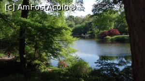 [P05] Central Park » foto by bubica*
 - 
<span class="allrVoted glyphicon glyphicon-heart hidden" id="av1113200"></span>
<a class="m-l-10 hidden" id="sv1113200" onclick="voting_Foto_DelVot(,1113200,3385)" role="button">șterge vot <span class="glyphicon glyphicon-remove"></span></a>
<a id="v91113200" class=" c-red"  onclick="voting_Foto_SetVot(1113200)" role="button"><span class="glyphicon glyphicon-heart-empty"></span> <b>LIKE</b> = Votează poza</a> <img class="hidden"  id="f1113200W9" src="/imagini/loader.gif" border="0" /><span class="AjErrMes hidden" id="e1113200ErM"></span>