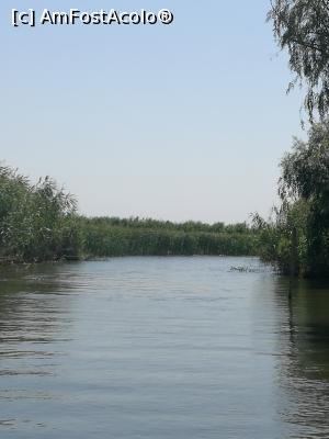 [P01]  -- <small>// FĂRĂ DESCRIERE</small> » foto by Aalin
 - 
<span class="allrVoted glyphicon glyphicon-heart hidden" id="av889978"></span>
<a class="m-l-10 hidden" id="sv889978" onclick="voting_Foto_DelVot(,889978,3389)" role="button">șterge vot <span class="glyphicon glyphicon-remove"></span></a>
<a id="v9889978" class=" c-red"  onclick="voting_Foto_SetVot(889978)" role="button"><span class="glyphicon glyphicon-heart-empty"></span> <b>LIKE</b> = Votează poza</a> <img class="hidden"  id="f889978W9" src="/imagini/loader.gif" border="0" /><span class="AjErrMes hidden" id="e889978ErM"></span>