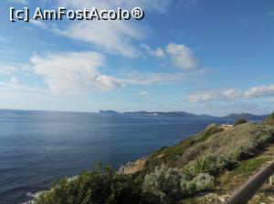 [P05] Coasta Sardiniei » foto by eraos
 - 
<span class="allrVoted glyphicon glyphicon-heart hidden" id="av847293"></span>
<a class="m-l-10 hidden" id="sv847293" onclick="voting_Foto_DelVot(,847293,3391)" role="button">șterge vot <span class="glyphicon glyphicon-remove"></span></a>
<a id="v9847293" class=" c-red"  onclick="voting_Foto_SetVot(847293)" role="button"><span class="glyphicon glyphicon-heart-empty"></span> <b>LIKE</b> = Votează poza</a> <img class="hidden"  id="f847293W9" src="/imagini/loader.gif" border="0" /><span class="AjErrMes hidden" id="e847293ErM"></span>