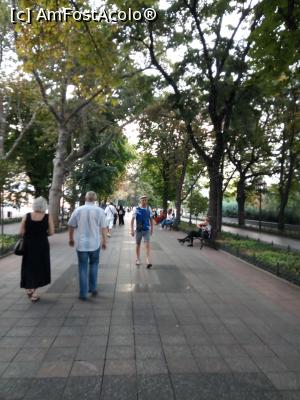 [P42] Bulevardul Primorsky-alee » foto by ile57b
 - 
<span class="allrVoted glyphicon glyphicon-heart hidden" id="av1358893"></span>
<a class="m-l-10 hidden" id="sv1358893" onclick="voting_Foto_DelVot(,1358893,3394)" role="button">șterge vot <span class="glyphicon glyphicon-remove"></span></a>
<a id="v91358893" class=" c-red"  onclick="voting_Foto_SetVot(1358893)" role="button"><span class="glyphicon glyphicon-heart-empty"></span> <b>LIKE</b> = Votează poza</a> <img class="hidden"  id="f1358893W9" src="/imagini/loader.gif" border="0" /><span class="AjErrMes hidden" id="e1358893ErM"></span>