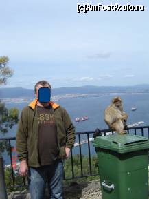 [P01] Gibraltar- omul si maimuta :) » foto by sunflower
 - 
<span class="allrVoted glyphicon glyphicon-heart hidden" id="av296885"></span>
<a class="m-l-10 hidden" id="sv296885" onclick="voting_Foto_DelVot(,296885,3397)" role="button">șterge vot <span class="glyphicon glyphicon-remove"></span></a>
<a id="v9296885" class=" c-red"  onclick="voting_Foto_SetVot(296885)" role="button"><span class="glyphicon glyphicon-heart-empty"></span> <b>LIKE</b> = Votează poza</a> <img class="hidden"  id="f296885W9" src="/imagini/loader.gif" border="0" /><span class="AjErrMes hidden" id="e296885ErM"></span>
