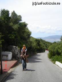 [P03] Gibraltar - unii au mai mult noroc decat altii....sau...ce bine e sa fii mic! » foto by sunflower
 - 
<span class="allrVoted glyphicon glyphicon-heart hidden" id="av296887"></span>
<a class="m-l-10 hidden" id="sv296887" onclick="voting_Foto_DelVot(,296887,3397)" role="button">șterge vot <span class="glyphicon glyphicon-remove"></span></a>
<a id="v9296887" class=" c-red"  onclick="voting_Foto_SetVot(296887)" role="button"><span class="glyphicon glyphicon-heart-empty"></span> <b>LIKE</b> = Votează poza</a> <img class="hidden"  id="f296887W9" src="/imagini/loader.gif" border="0" /><span class="AjErrMes hidden" id="e296887ErM"></span>