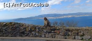 [P07]  -- <small>// FĂRĂ DESCRIERE</small> » foto by cristimicle
 - 
<span class="allrVoted glyphicon glyphicon-heart hidden" id="av1355356"></span>
<a class="m-l-10 hidden" id="sv1355356" onclick="voting_Foto_DelVot(,1355356,3397)" role="button">șterge vot <span class="glyphicon glyphicon-remove"></span></a>
<a id="v91355356" class=" c-red"  onclick="voting_Foto_SetVot(1355356)" role="button"><span class="glyphicon glyphicon-heart-empty"></span> <b>LIKE</b> = Votează poza</a> <img class="hidden"  id="f1355356W9" src="/imagini/loader.gif" border="0" /><span class="AjErrMes hidden" id="e1355356ErM"></span>
