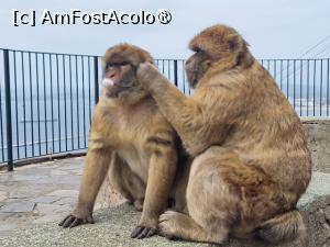 [P16]  -- <small>// FĂRĂ DESCRIERE</small> » foto by Maya_C
 - 
<span class="allrVoted glyphicon glyphicon-heart hidden" id="av1507244"></span>
<a class="m-l-10 hidden" id="sv1507244" onclick="voting_Foto_DelVot(,1507244,3397)" role="button">șterge vot <span class="glyphicon glyphicon-remove"></span></a>
<a id="v91507244" class=" c-red"  onclick="voting_Foto_SetVot(1507244)" role="button"><span class="glyphicon glyphicon-heart-empty"></span> <b>LIKE</b> = Votează poza</a> <img class="hidden"  id="f1507244W9" src="/imagini/loader.gif" border="0" /><span class="AjErrMes hidden" id="e1507244ErM"></span>