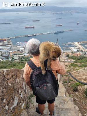 [P24]  -- <small>// FĂRĂ DESCRIERE</small> » foto by Maya_C
 - 
<span class="allrVoted glyphicon glyphicon-heart hidden" id="av1507252"></span>
<a class="m-l-10 hidden" id="sv1507252" onclick="voting_Foto_DelVot(,1507252,3397)" role="button">șterge vot <span class="glyphicon glyphicon-remove"></span></a>
<a id="v91507252" class=" c-red"  onclick="voting_Foto_SetVot(1507252)" role="button"><span class="glyphicon glyphicon-heart-empty"></span> <b>LIKE</b> = Votează poza</a> <img class="hidden"  id="f1507252W9" src="/imagini/loader.gif" border="0" /><span class="AjErrMes hidden" id="e1507252ErM"></span>