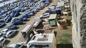 [P22] vedere spre latura de est, se vad caii albi » foto by Yolanda
 - 
<span class="allrVoted glyphicon glyphicon-heart hidden" id="av1503373"></span>
<a class="m-l-10 hidden" id="sv1503373" onclick="voting_Foto_DelVot(,1503373,3404)" role="button">șterge vot <span class="glyphicon glyphicon-remove"></span></a>
<a id="v91503373" class=" c-red"  onclick="voting_Foto_SetVot(1503373)" role="button"><span class="glyphicon glyphicon-heart-empty"></span> <b>LIKE</b> = Votează poza</a> <img class="hidden"  id="f1503373W9" src="/imagini/loader.gif" border="0" /><span class="AjErrMes hidden" id="e1503373ErM"></span>