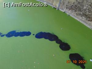 [P84] fortareata Aigues-Mortes, turnul Constance, iazul de lânga turn » foto by Yolanda
 - 
<span class="allrVoted glyphicon glyphicon-heart hidden" id="av1503435"></span>
<a class="m-l-10 hidden" id="sv1503435" onclick="voting_Foto_DelVot(,1503435,3404)" role="button">șterge vot <span class="glyphicon glyphicon-remove"></span></a>
<a id="v91503435" class=" c-red"  onclick="voting_Foto_SetVot(1503435)" role="button"><span class="glyphicon glyphicon-heart-empty"></span> <b>LIKE</b> = Votează poza</a> <img class="hidden"  id="f1503435W9" src="/imagini/loader.gif" border="0" /><span class="AjErrMes hidden" id="e1503435ErM"></span>