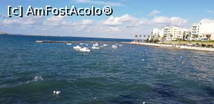 [P11] Malta » foto by Nicu
 - 
<span class="allrVoted glyphicon glyphicon-heart hidden" id="av1046327"></span>
<a class="m-l-10 hidden" id="sv1046327" onclick="voting_Foto_DelVot(,1046327,3405)" role="button">șterge vot <span class="glyphicon glyphicon-remove"></span></a>
<a id="v91046327" class=" c-red"  onclick="voting_Foto_SetVot(1046327)" role="button"><span class="glyphicon glyphicon-heart-empty"></span> <b>LIKE</b> = Votează poza</a> <img class="hidden"  id="f1046327W9" src="/imagini/loader.gif" border="0" /><span class="AjErrMes hidden" id="e1046327ErM"></span>