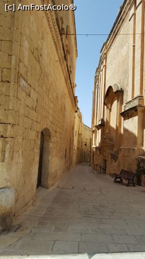 [P13] Sa ne pierdem pe stradutele din Mdina!  » foto by adrianaglogo
 - 
<span class="allrVoted glyphicon glyphicon-heart hidden" id="av978576"></span>
<a class="m-l-10 hidden" id="sv978576" onclick="voting_Foto_DelVot(,978576,3405)" role="button">șterge vot <span class="glyphicon glyphicon-remove"></span></a>
<a id="v9978576" class=" c-red"  onclick="voting_Foto_SetVot(978576)" role="button"><span class="glyphicon glyphicon-heart-empty"></span> <b>LIKE</b> = Votează poza</a> <img class="hidden"  id="f978576W9" src="/imagini/loader.gif" border="0" /><span class="AjErrMes hidden" id="e978576ErM"></span>