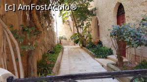[P16] Aruncam o privire in curtea Casei isabella, din Mdina.  » foto by adrianaglogo
 - 
<span class="allrVoted glyphicon glyphicon-heart hidden" id="av978579"></span>
<a class="m-l-10 hidden" id="sv978579" onclick="voting_Foto_DelVot(,978579,3405)" role="button">șterge vot <span class="glyphicon glyphicon-remove"></span></a>
<a id="v9978579" class=" c-red"  onclick="voting_Foto_SetVot(978579)" role="button"><span class="glyphicon glyphicon-heart-empty"></span> <b>LIKE</b> = Votează poza</a> <img class="hidden"  id="f978579W9" src="/imagini/loader.gif" border="0" /><span class="AjErrMes hidden" id="e978579ErM"></span>