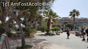 [P22] Parcul dimprejurul Cetatii Mdina » foto by adrianaglogo
 - 
<span class="allrVoted glyphicon glyphicon-heart hidden" id="av978585"></span>
<a class="m-l-10 hidden" id="sv978585" onclick="voting_Foto_DelVot(,978585,3405)" role="button">șterge vot <span class="glyphicon glyphicon-remove"></span></a>
<a id="v9978585" class=" c-red"  onclick="voting_Foto_SetVot(978585)" role="button"><span class="glyphicon glyphicon-heart-empty"></span> <b>LIKE</b> = Votează poza</a> <img class="hidden"  id="f978585W9" src="/imagini/loader.gif" border="0" /><span class="AjErrMes hidden" id="e978585ErM"></span>
