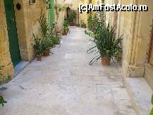 [P10] Stradutele inguste si intortochiate, impodobite cu vase cu flori » foto by myosothis
 - 
<span class="allrVoted glyphicon glyphicon-heart hidden" id="av133000"></span>
<a class="m-l-10 hidden" id="sv133000" onclick="voting_Foto_DelVot(,133000,3405)" role="button">șterge vot <span class="glyphicon glyphicon-remove"></span></a>
<a id="v9133000" class=" c-red"  onclick="voting_Foto_SetVot(133000)" role="button"><span class="glyphicon glyphicon-heart-empty"></span> <b>LIKE</b> = Votează poza</a> <img class="hidden"  id="f133000W9" src="/imagini/loader.gif" border="0" /><span class="AjErrMes hidden" id="e133000ErM"></span>