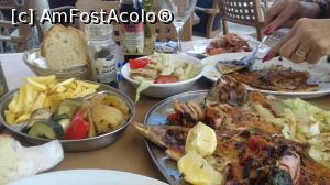 [P03] ... si da-i, si lupta... la Marsaxlokk » foto by voltainstel
 - 
<span class="allrVoted glyphicon glyphicon-heart hidden" id="av925894"></span>
<a class="m-l-10 hidden" id="sv925894" onclick="voting_Foto_DelVot(,925894,3405)" role="button">șterge vot <span class="glyphicon glyphicon-remove"></span></a>
<a id="v9925894" class=" c-red"  onclick="voting_Foto_SetVot(925894)" role="button"><span class="glyphicon glyphicon-heart-empty"></span> <b>LIKE</b> = Votează poza</a> <img class="hidden"  id="f925894W9" src="/imagini/loader.gif" border="0" /><span class="AjErrMes hidden" id="e925894ErM"></span>