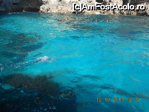 [P08] Culorile mării, croaziera în insula Gozo.  » foto by Rodel
 - 
<span class="allrVoted glyphicon glyphicon-heart hidden" id="av691412"></span>
<a class="m-l-10 hidden" id="sv691412" onclick="voting_Foto_DelVot(,691412,3405)" role="button">șterge vot <span class="glyphicon glyphicon-remove"></span></a>
<a id="v9691412" class=" c-red"  onclick="voting_Foto_SetVot(691412)" role="button"><span class="glyphicon glyphicon-heart-empty"></span> <b>LIKE</b> = Votează poza</a> <img class="hidden"  id="f691412W9" src="/imagini/loader.gif" border="0" /><span class="AjErrMes hidden" id="e691412ErM"></span>