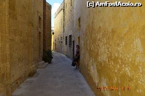 [P32] Mdina » foto by adinasilvia
 - 
<span class="allrVoted glyphicon glyphicon-heart hidden" id="av605659"></span>
<a class="m-l-10 hidden" id="sv605659" onclick="voting_Foto_DelVot(,605659,3405)" role="button">șterge vot <span class="glyphicon glyphicon-remove"></span></a>
<a id="v9605659" class=" c-red"  onclick="voting_Foto_SetVot(605659)" role="button"><span class="glyphicon glyphicon-heart-empty"></span> <b>LIKE</b> = Votează poza</a> <img class="hidden"  id="f605659W9" src="/imagini/loader.gif" border="0" /><span class="AjErrMes hidden" id="e605659ErM"></span>