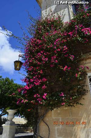 [P33] Mdina » foto by adinasilvia
 - 
<span class="allrVoted glyphicon glyphicon-heart hidden" id="av605660"></span>
<a class="m-l-10 hidden" id="sv605660" onclick="voting_Foto_DelVot(,605660,3405)" role="button">șterge vot <span class="glyphicon glyphicon-remove"></span></a>
<a id="v9605660" class=" c-red"  onclick="voting_Foto_SetVot(605660)" role="button"><span class="glyphicon glyphicon-heart-empty"></span> <b>LIKE</b> = Votează poza</a> <img class="hidden"  id="f605660W9" src="/imagini/loader.gif" border="0" /><span class="AjErrMes hidden" id="e605660ErM"></span>