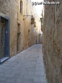 [P02]  -- <small>// FĂRĂ DESCRIERE</small> » foto by darioden
 - 
<span class="allrVoted glyphicon glyphicon-heart hidden" id="av194250"></span>
<a class="m-l-10 hidden" id="sv194250" onclick="voting_Foto_DelVot(,194250,3405)" role="button">șterge vot <span class="glyphicon glyphicon-remove"></span></a>
<a id="v9194250" class=" c-red"  onclick="voting_Foto_SetVot(194250)" role="button"><span class="glyphicon glyphicon-heart-empty"></span> <b>LIKE</b> = Votează poza</a> <img class="hidden"  id="f194250W9" src="/imagini/loader.gif" border="0" /><span class="AjErrMes hidden" id="e194250ErM"></span>