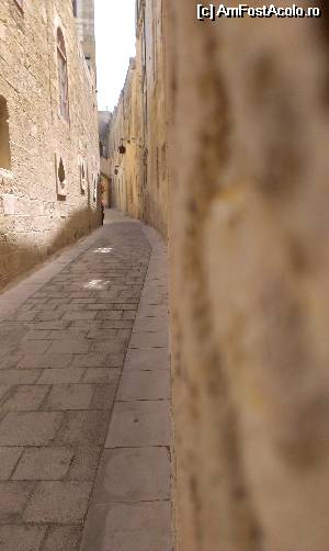 [P06] Mdina » foto by simona.v
 - 
<span class="allrVoted glyphicon glyphicon-heart hidden" id="av514784"></span>
<a class="m-l-10 hidden" id="sv514784" onclick="voting_Foto_DelVot(,514784,3405)" role="button">șterge vot <span class="glyphicon glyphicon-remove"></span></a>
<a id="v9514784" class=" c-red"  onclick="voting_Foto_SetVot(514784)" role="button"><span class="glyphicon glyphicon-heart-empty"></span> <b>LIKE</b> = Votează poza</a> <img class="hidden"  id="f514784W9" src="/imagini/loader.gif" border="0" /><span class="AjErrMes hidden" id="e514784ErM"></span>