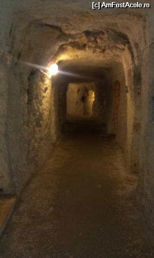 [P09] St. Agatha Catacombs » foto by simona.v
 - 
<span class="allrVoted glyphicon glyphicon-heart hidden" id="av514788"></span>
<a class="m-l-10 hidden" id="sv514788" onclick="voting_Foto_DelVot(,514788,3405)" role="button">șterge vot <span class="glyphicon glyphicon-remove"></span></a>
<a id="v9514788" class=" c-red"  onclick="voting_Foto_SetVot(514788)" role="button"><span class="glyphicon glyphicon-heart-empty"></span> <b>LIKE</b> = Votează poza</a> <img class="hidden"  id="f514788W9" src="/imagini/loader.gif" border="0" /><span class="AjErrMes hidden" id="e514788ErM"></span>