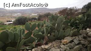[P14]  -- <small>// FĂRĂ DESCRIERE</small> » foto by deeaghe
 - 
<span class="allrVoted glyphicon glyphicon-heart hidden" id="av722178"></span>
<a class="m-l-10 hidden" id="sv722178" onclick="voting_Foto_DelVot(,722178,3405)" role="button">șterge vot <span class="glyphicon glyphicon-remove"></span></a>
<a id="v9722178" class=" c-red"  onclick="voting_Foto_SetVot(722178)" role="button"><span class="glyphicon glyphicon-heart-empty"></span> <b>LIKE</b> = Votează poza</a> <img class="hidden"  id="f722178W9" src="/imagini/loader.gif" border="0" /><span class="AjErrMes hidden" id="e722178ErM"></span>