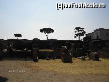 [P26] Printre ruinele de pe Colina Palatino » foto by Costi
 - 
<span class="allrVoted glyphicon glyphicon-heart hidden" id="av48153"></span>
<a class="m-l-10 hidden" id="sv48153" onclick="voting_Foto_DelVot(,48153,3406)" role="button">șterge vot <span class="glyphicon glyphicon-remove"></span></a>
<a id="v948153" class=" c-red"  onclick="voting_Foto_SetVot(48153)" role="button"><span class="glyphicon glyphicon-heart-empty"></span> <b>LIKE</b> = Votează poza</a> <img class="hidden"  id="f48153W9" src="/imagini/loader.gif" border="0" /><span class="AjErrMes hidden" id="e48153ErM"></span>