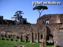[P02] ruine din zona Capitoliului » foto by Traveller
 - 
<span class="allrVoted glyphicon glyphicon-heart hidden" id="av50566"></span>
<a class="m-l-10 hidden" id="sv50566" onclick="voting_Foto_DelVot(,50566,3406)" role="button">șterge vot <span class="glyphicon glyphicon-remove"></span></a>
<a id="v950566" class=" c-red"  onclick="voting_Foto_SetVot(50566)" role="button"><span class="glyphicon glyphicon-heart-empty"></span> <b>LIKE</b> = Votează poza</a> <img class="hidden"  id="f50566W9" src="/imagini/loader.gif" border="0" /><span class="AjErrMes hidden" id="e50566ErM"></span>
