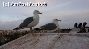 [P30]  -- <small>// FĂRĂ DESCRIERE</small> » foto by Catalin Mate
 - 
<span class="allrVoted glyphicon glyphicon-heart hidden" id="av1154176"></span>
<a class="m-l-10 hidden" id="sv1154176" onclick="voting_Foto_DelVot(,1154176,3406)" role="button">șterge vot <span class="glyphicon glyphicon-remove"></span></a>
<a id="v91154176" class=" c-red"  onclick="voting_Foto_SetVot(1154176)" role="button"><span class="glyphicon glyphicon-heart-empty"></span> <b>LIKE</b> = Votează poza</a> <img class="hidden"  id="f1154176W9" src="/imagini/loader.gif" border="0" /><span class="AjErrMes hidden" id="e1154176ErM"></span>