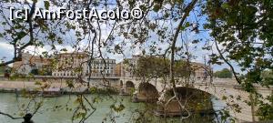 [P50] Ponte Cavour şi Tibru » foto by irinad
 - 
<span class="allrVoted glyphicon glyphicon-heart hidden" id="av1384005"></span>
<a class="m-l-10 hidden" id="sv1384005" onclick="voting_Foto_DelVot(,1384005,3406)" role="button">șterge vot <span class="glyphicon glyphicon-remove"></span></a>
<a id="v91384005" class=" c-red"  onclick="voting_Foto_SetVot(1384005)" role="button"><span class="glyphicon glyphicon-heart-empty"></span> <b>LIKE</b> = Votează poza</a> <img class="hidden"  id="f1384005W9" src="/imagini/loader.gif" border="0" /><span class="AjErrMes hidden" id="e1384005ErM"></span>