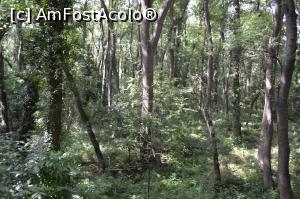 [P04] Vedere din observator (de la jumătatea inaltimii)  » foto by AZE
 - 
<span class="allrVoted glyphicon glyphicon-heart hidden" id="av749214"></span>
<a class="m-l-10 hidden" id="sv749214" onclick="voting_Foto_DelVot(,749214,3407)" role="button">șterge vot <span class="glyphicon glyphicon-remove"></span></a>
<a id="v9749214" class=" c-red"  onclick="voting_Foto_SetVot(749214)" role="button"><span class="glyphicon glyphicon-heart-empty"></span> <b>LIKE</b> = Votează poza</a> <img class="hidden"  id="f749214W9" src="/imagini/loader.gif" border="0" /><span class="AjErrMes hidden" id="e749214ErM"></span>