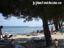 [P04] La umbra racoroasa de pe plaja din fata hotelului » foto by ileanaxperta*
 - 
<span class="allrVoted glyphicon glyphicon-heart hidden" id="av18540"></span>
<a class="m-l-10 hidden" id="sv18540" onclick="voting_Foto_DelVot(,18540,3408)" role="button">șterge vot <span class="glyphicon glyphicon-remove"></span></a>
<a id="v918540" class=" c-red"  onclick="voting_Foto_SetVot(18540)" role="button"><span class="glyphicon glyphicon-heart-empty"></span> <b>LIKE</b> = Votează poza</a> <img class="hidden"  id="f18540W9" src="/imagini/loader.gif" border="0" /><span class="AjErrMes hidden" id="e18540ErM"></span>