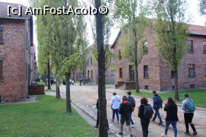 [P19] Memorialul Auschwitz Birkenau și micul grup francofon, lipseau 2 persoane, ghida este cea cu bluza albă » foto by mprofeanu
 - 
<span class="allrVoted glyphicon glyphicon-heart hidden" id="av1330323"></span>
<a class="m-l-10 hidden" id="sv1330323" onclick="voting_Foto_DelVot(,1330323,3411)" role="button">șterge vot <span class="glyphicon glyphicon-remove"></span></a>
<a id="v91330323" class=" c-red"  onclick="voting_Foto_SetVot(1330323)" role="button"><span class="glyphicon glyphicon-heart-empty"></span> <b>LIKE</b> = Votează poza</a> <img class="hidden"  id="f1330323W9" src="/imagini/loader.gif" border="0" /><span class="AjErrMes hidden" id="e1330323ErM"></span>