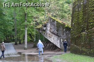 [P26] Bârlogul Lupului, Buncărul lui Borman, o bucată mare din el....lemnele sunt puse de decor de către turiști.. » foto by mprofeanu
 - 
<span class="allrVoted glyphicon glyphicon-heart hidden" id="av1386899"></span>
<a class="m-l-10 hidden" id="sv1386899" onclick="voting_Foto_DelVot(,1386899,3411)" role="button">șterge vot <span class="glyphicon glyphicon-remove"></span></a>
<a id="v91386899" class=" c-red"  onclick="voting_Foto_SetVot(1386899)" role="button"><span class="glyphicon glyphicon-heart-empty"></span> <b>LIKE</b> = Votează poza</a> <img class="hidden"  id="f1386899W9" src="/imagini/loader.gif" border="0" /><span class="AjErrMes hidden" id="e1386899ErM"></span>