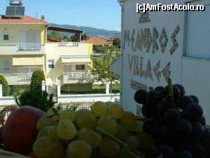 [P01] Meandros Village » foto by Paloma
 - 
<span class="allrVoted glyphicon glyphicon-heart hidden" id="av544921"></span>
<a class="m-l-10 hidden" id="sv544921" onclick="voting_Foto_DelVot(,544921,3415)" role="button">șterge vot <span class="glyphicon glyphicon-remove"></span></a>
<a id="v9544921" class=" c-red"  onclick="voting_Foto_SetVot(544921)" role="button"><span class="glyphicon glyphicon-heart-empty"></span> <b>LIKE</b> = Votează poza</a> <img class="hidden"  id="f544921W9" src="/imagini/loader.gif" border="0" /><span class="AjErrMes hidden" id="e544921ErM"></span>