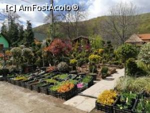 [P09] Pepiniera cu arbori ornamentali » foto by dorgo
 - 
<span class="allrVoted glyphicon glyphicon-heart hidden" id="av1226352"></span>
<a class="m-l-10 hidden" id="sv1226352" onclick="voting_Foto_DelVot(,1226352,3417)" role="button">șterge vot <span class="glyphicon glyphicon-remove"></span></a>
<a id="v91226352" class=" c-red"  onclick="voting_Foto_SetVot(1226352)" role="button"><span class="glyphicon glyphicon-heart-empty"></span> <b>LIKE</b> = Votează poza</a> <img class="hidden"  id="f1226352W9" src="/imagini/loader.gif" border="0" /><span class="AjErrMes hidden" id="e1226352ErM"></span>
