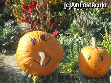 [P23] Nu mai e mult pana la Halloween... » foto by dorgo
 - 
<span class="allrVoted glyphicon glyphicon-heart hidden" id="av270437"></span>
<a class="m-l-10 hidden" id="sv270437" onclick="voting_Foto_DelVot(,270437,3417)" role="button">șterge vot <span class="glyphicon glyphicon-remove"></span></a>
<a id="v9270437" class=" c-red"  onclick="voting_Foto_SetVot(270437)" role="button"><span class="glyphicon glyphicon-heart-empty"></span> <b>LIKE</b> = Votează poza</a> <img class="hidden"  id="f270437W9" src="/imagini/loader.gif" border="0" /><span class="AjErrMes hidden" id="e270437ErM"></span>