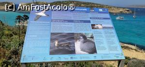 [P21] 21. Insula Comino este o rezervație naturală, un „sanctuar” al păsărilor. » foto by msnd
 - 
<span class="allrVoted glyphicon glyphicon-heart hidden" id="av1514203"></span>
<a class="m-l-10 hidden" id="sv1514203" onclick="voting_Foto_DelVot(,1514203,3422)" role="button">șterge vot <span class="glyphicon glyphicon-remove"></span></a>
<a id="v91514203" class=" c-red"  onclick="voting_Foto_SetVot(1514203)" role="button"><span class="glyphicon glyphicon-heart-empty"></span> <b>LIKE</b> = Votează poza</a> <img class="hidden"  id="f1514203W9" src="/imagini/loader.gif" border="0" /><span class="AjErrMes hidden" id="e1514203ErM"></span>