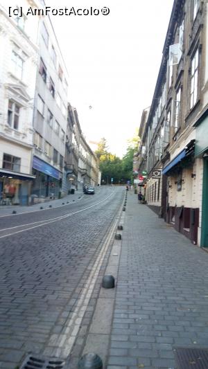 [P12]  -- <small>// FĂRĂ DESCRIERE</small> » foto by B.Ale
 - 
<span class="allrVoted glyphicon glyphicon-heart hidden" id="av888988"></span>
<a class="m-l-10 hidden" id="sv888988" onclick="voting_Foto_DelVot(,888988,3430)" role="button">șterge vot <span class="glyphicon glyphicon-remove"></span></a>
<a id="v9888988" class=" c-red"  onclick="voting_Foto_SetVot(888988)" role="button"><span class="glyphicon glyphicon-heart-empty"></span> <b>LIKE</b> = Votează poza</a> <img class="hidden"  id="f888988W9" src="/imagini/loader.gif" border="0" /><span class="AjErrMes hidden" id="e888988ErM"></span>